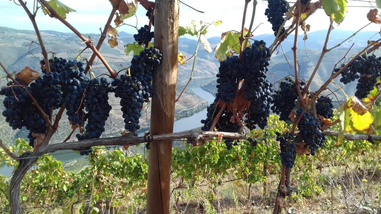 Stay At The Winemaker Ervedosa do Douro Exterior foto