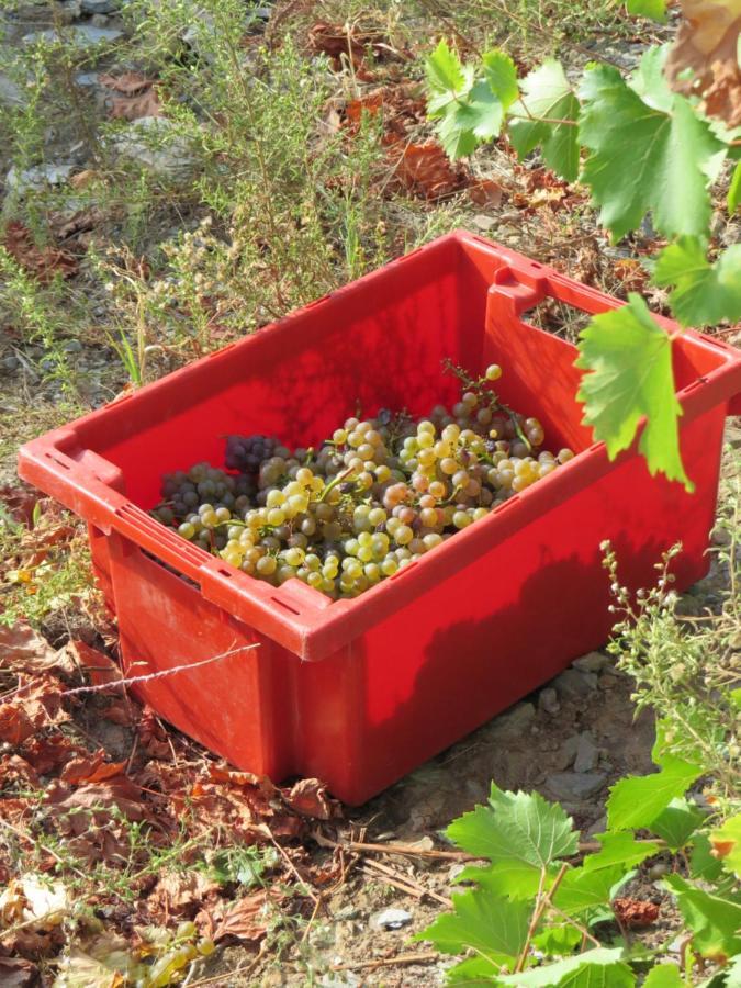 Stay At The Winemaker Ervedosa do Douro Exterior foto