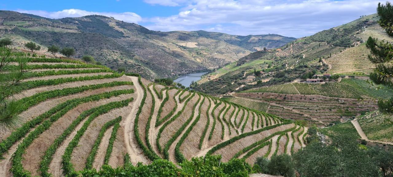 Stay At The Winemaker Ervedosa do Douro Exterior foto