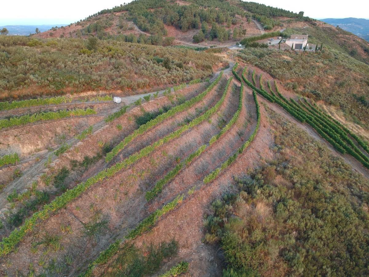 Stay At The Winemaker Ervedosa do Douro Exterior foto